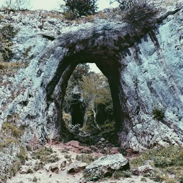 Yeni Ürün D (Demo)
