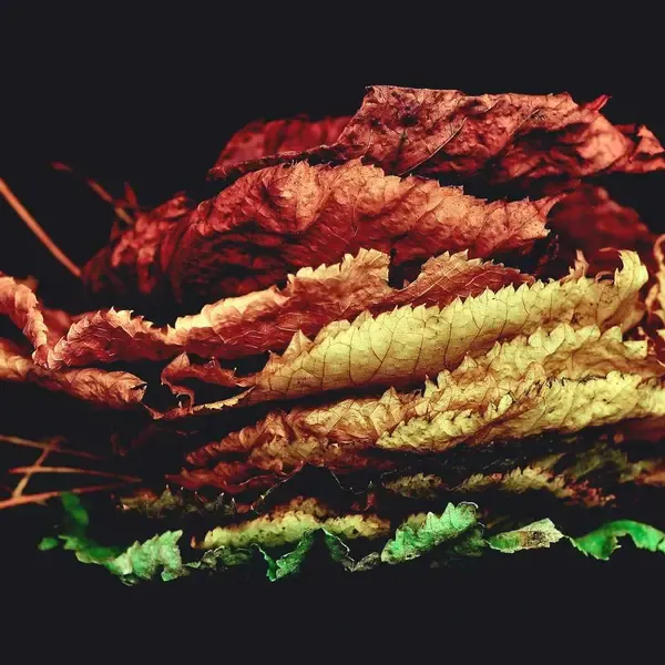 İndirim 2 (Demo)